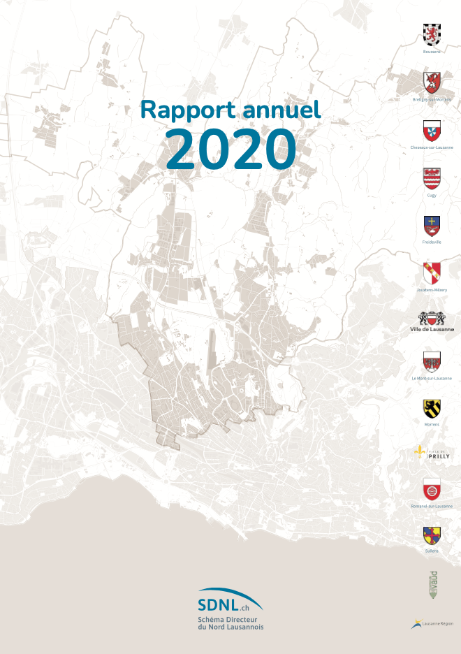 Rapport d'activités 2020 du SDNL